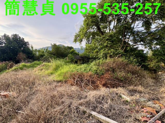 南投土地透天南投房仲草屯房仲