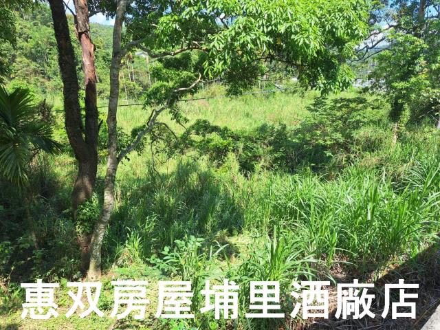 南投埔里農地-1