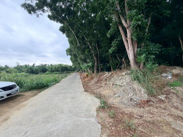 台南關廟農地-1