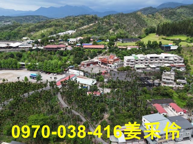 嘉義新港農地-6