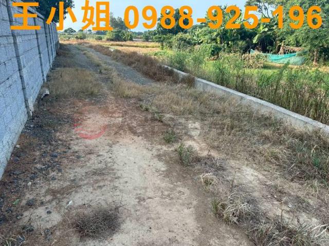 大園農地-11