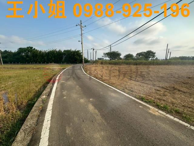 大園農地
