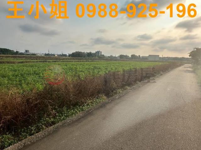 大園農地-3