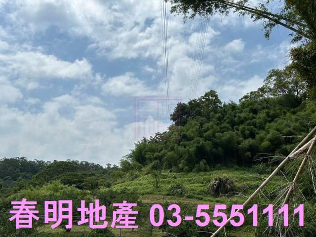新竹縣峨眉鄉富興低總價丙建林地春明地產