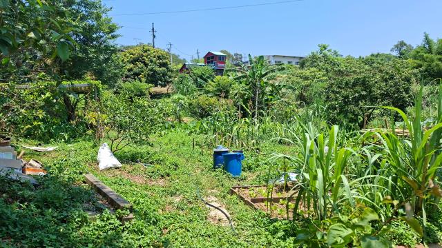 峨眉山坡地-1