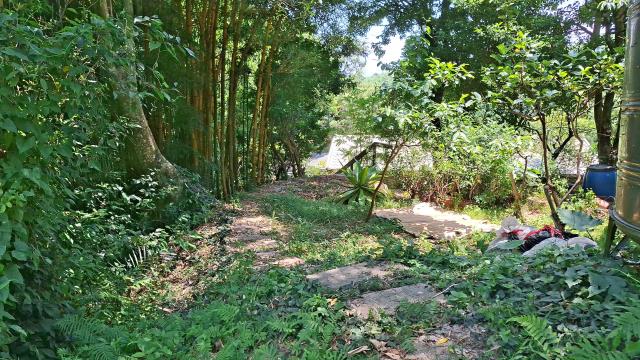 峨眉山坡地-7