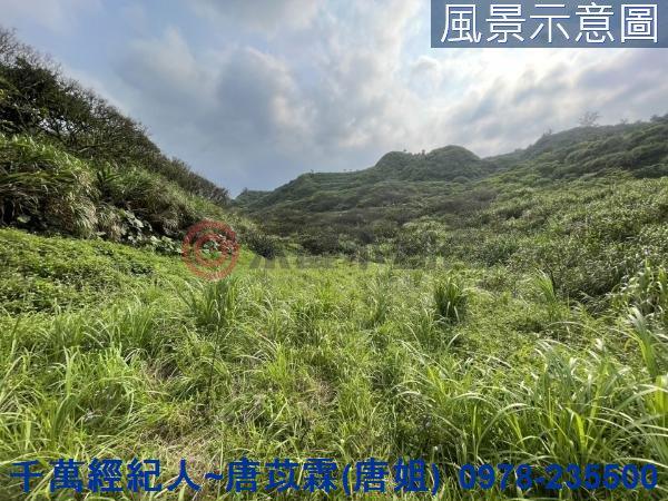 石門農地-2