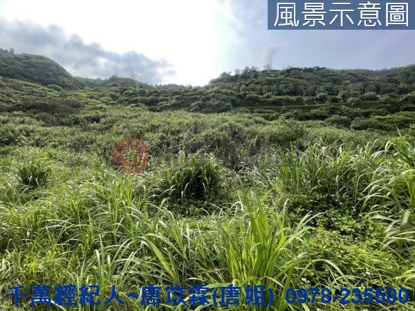 石門農地-3