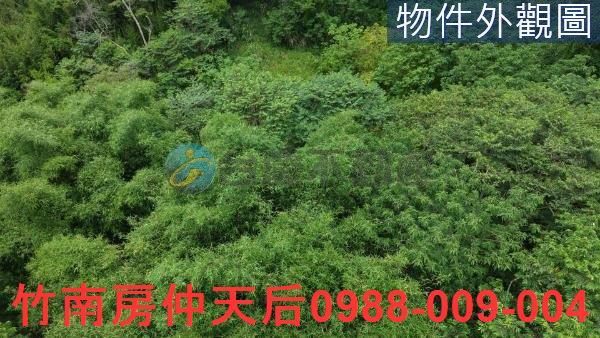 芎林農地-3