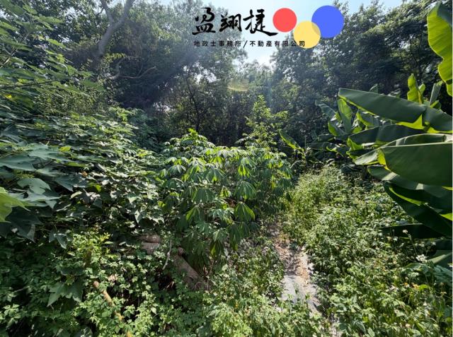 南區農地-1