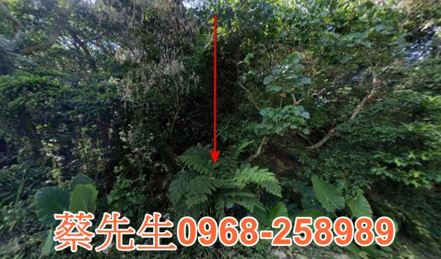 龜山大同路1350巷農舍地興建農舍種植農作物