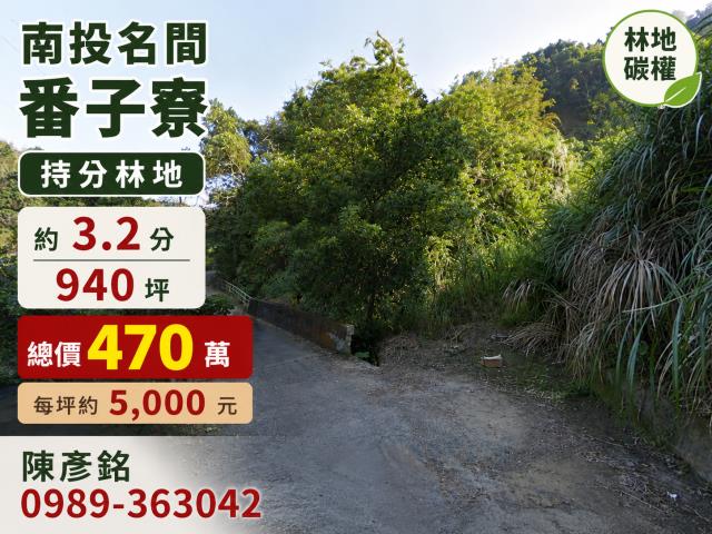 南投名間山坡地-0