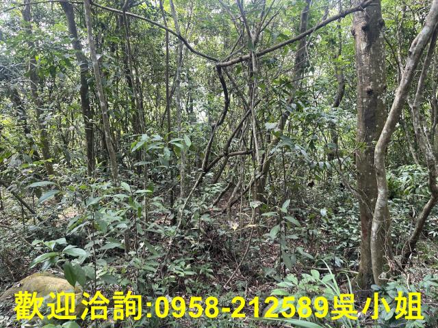 苗栗三義農地建地徵收地重劃地工業地山坡休閒地買賣