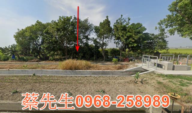 水上梅埔里農地種植農作物果樹