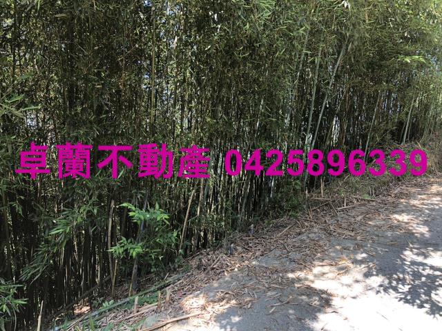 卓蘭雙連農地