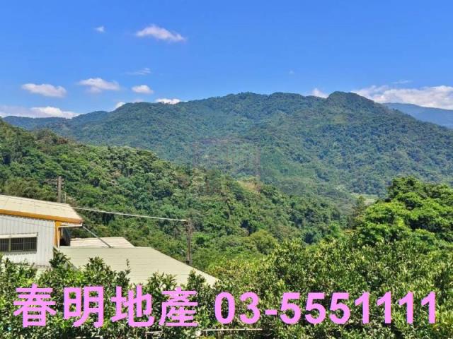 橫山農地-7