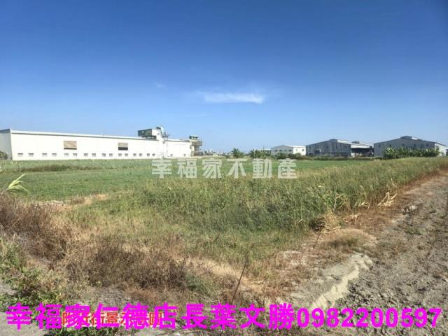 安定農地-13