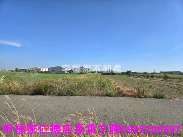 安定農地-14