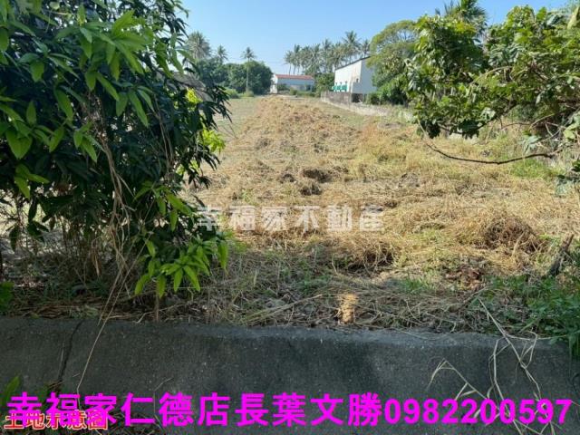 仁德農地-21