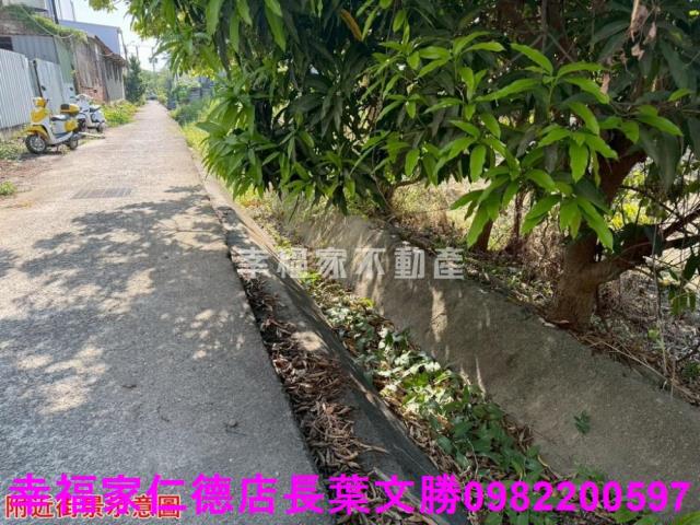 仁德農地-29
