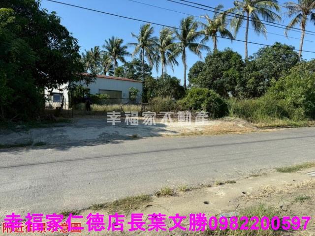仁德農地-2