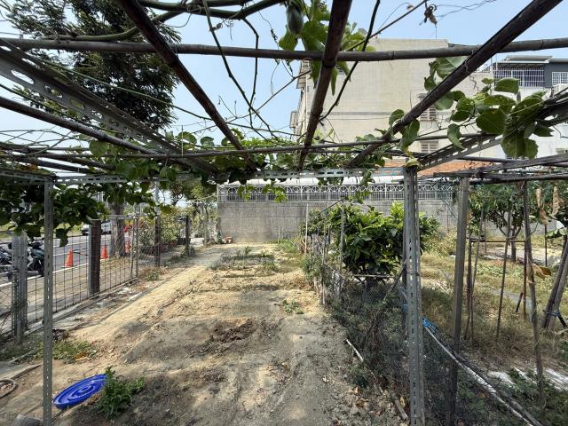 橋頭建地-2