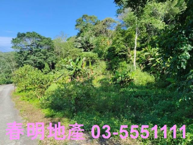 北埔農地-11
