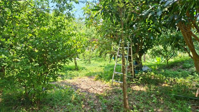 峨眉休閒地-5