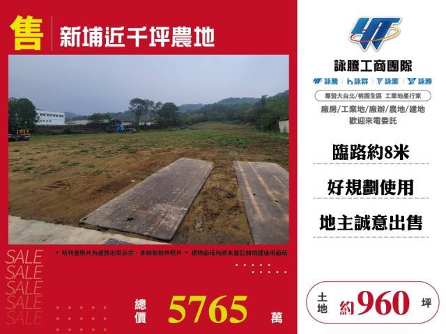 新埔近千坪農地