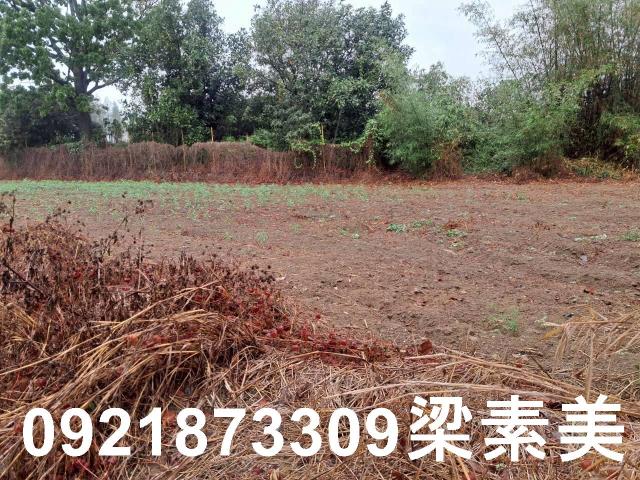 台南農地-10