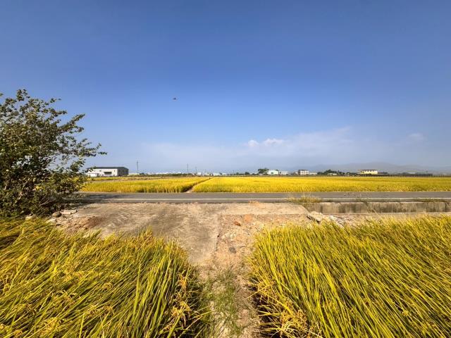 嘉義農地-2