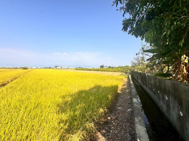 嘉義農地-4