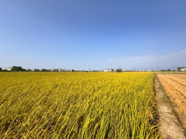 嘉義農地-7