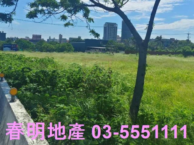 新竹新豐農地-5