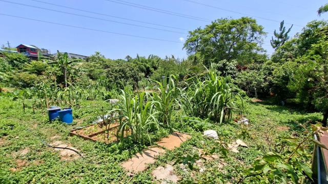 新竹峨眉山坡地-12