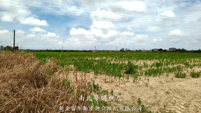 台南新營農地-5