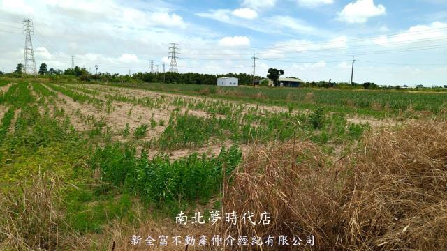 台南新營農地-8