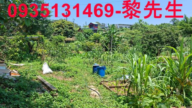 峨眉林地-13