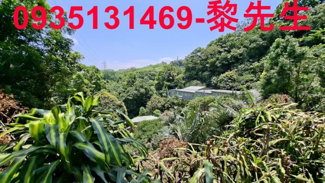 峨眉林地-7