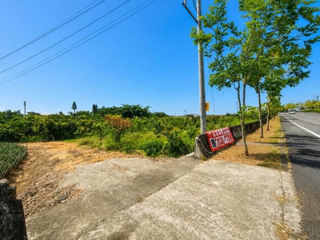 民雄農地-2