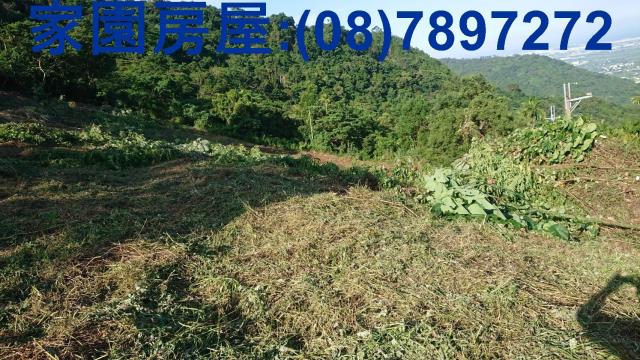卑南農地-3