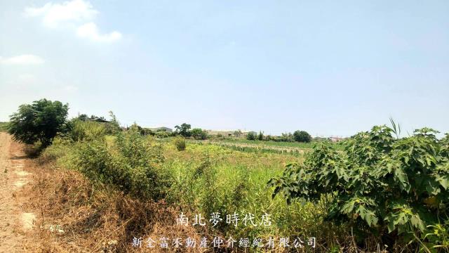 新營農地-9