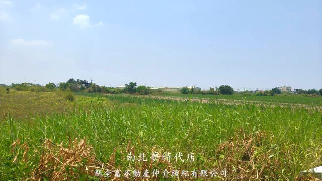 新營農地-0