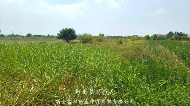 新營農地-1