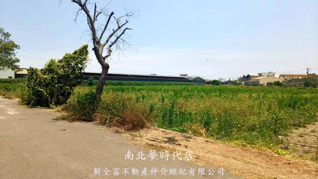 新營農地-5