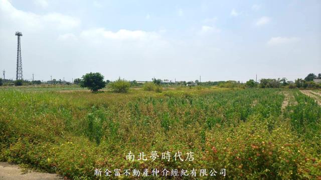 新營農地-6