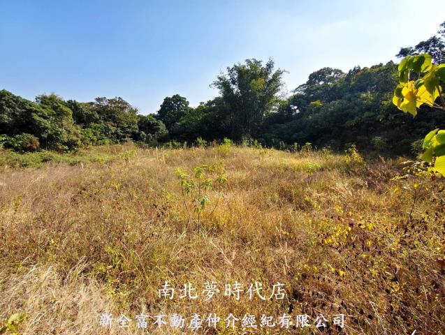 大內農地-6