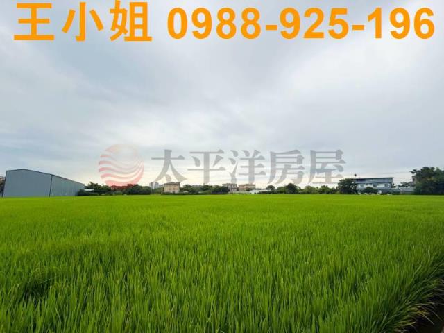 桃園中壢農地-6