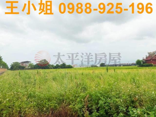 桃園中壢農地-3