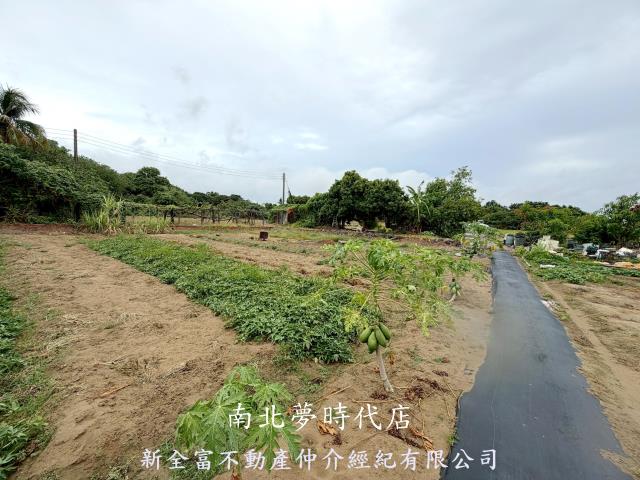 高雄路竹農地-13